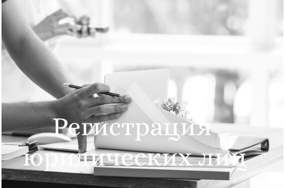 Регистрация юридических лиц